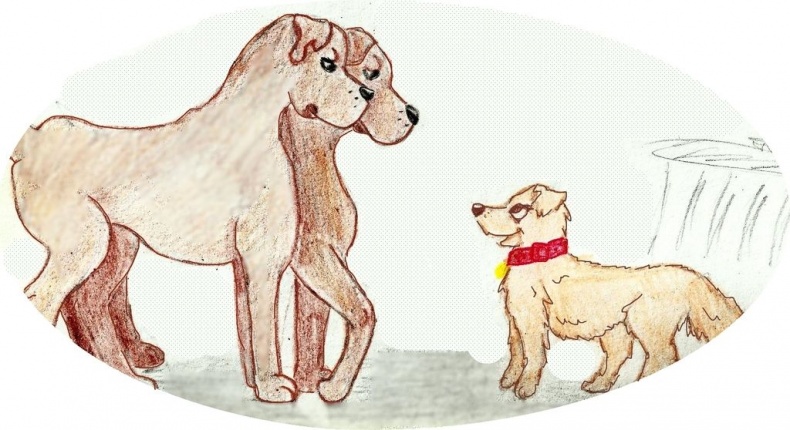 Иллюстрация к книге — Джули. Её мечты и приключения [images_5386f49e37eca27e268b4590_jpg.jpg]