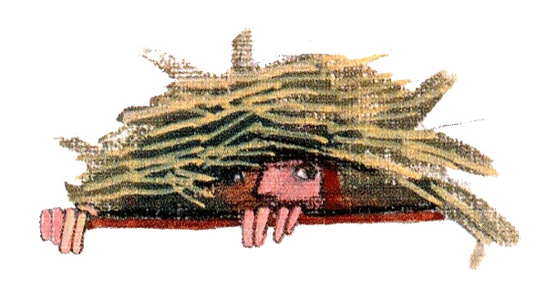 Иллюстрация к книге — Шейла Великолепная [i_050.jpg]