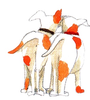 Иллюстрация к книге — Шейла Великолепная [i_056.jpg]