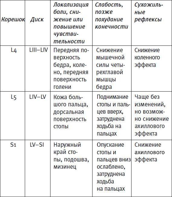 Иллюстрация к книге — Ария для спины. Авторская программа, чтобы никогда не болели суставы [i_025.jpg]