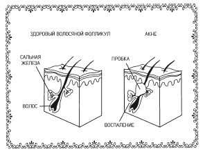 Иллюстрация к книге — Аюрведа. Пособие по женскому здоровью [i_019.jpg]