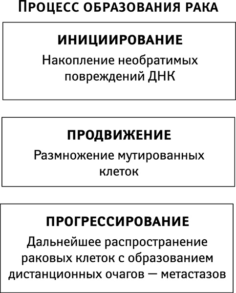 Иллюстрация к книге — Бойкот раку. Защитите себя и своих близких! Советы врача-онколога из Великобритании [_11.jpg]