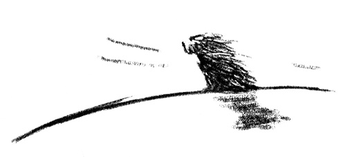 Иллюстрация к книге — Я всего лишь собака [i_018.jpg]