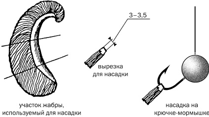 Иллюстрация к книге — Рыбалка. На мормышку без насадки [_36.jpg]