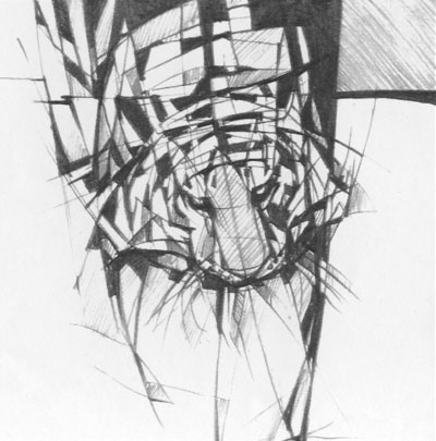 Иллюстрация к книге — Под знаком тигра [Autogen_eBook_id24.jpg]