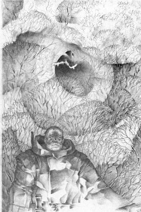 Иллюстрация к книге — Под знаком тигра [Autogen_eBook_id31.jpg]