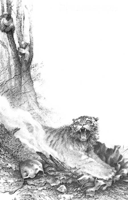 Иллюстрация к книге — Под знаком тигра [Autogen_eBook_id34.jpg]