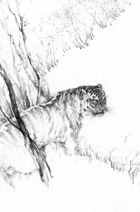 Иллюстрация к книге — Под знаком тигра [Autogen_eBook_id35.jpg]