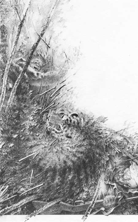 Иллюстрация к книге — Под знаком тигра [Autogen_eBook_id39.jpg]