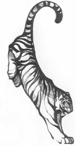 Иллюстрация к книге — Под знаком тигра [Autogen_eBook_id42.jpg]