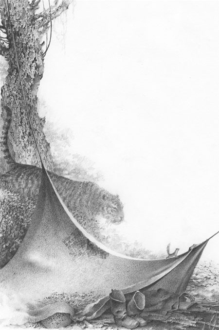 Иллюстрация к книге — Под знаком тигра [Autogen_eBook_id53.jpg]