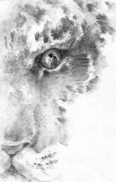 Иллюстрация к книге — Под знаком тигра [Autogen_eBook_id57.jpg]