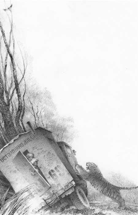 Иллюстрация к книге — Под знаком тигра [Autogen_eBook_id58.jpg]