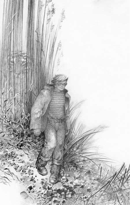 Иллюстрация к книге — Под знаком тигра [Autogen_eBook_id59.jpg]