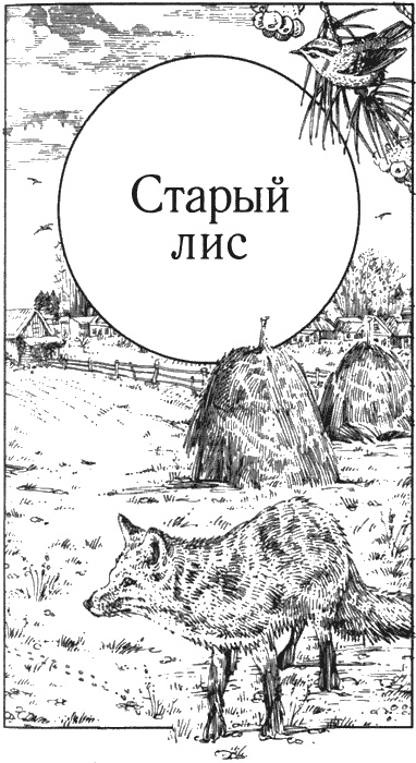 Иллюстрация к книге — Долгая дорога домой [img02.jpg]