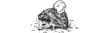 Иллюстрация к книге — Долгая дорога домой [img14.jpg]