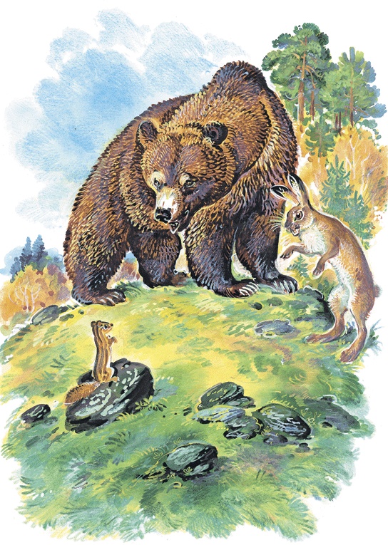 Иллюстрация к книге — Лесные сказки [i_030.jpg]