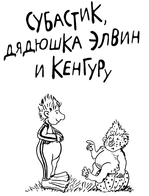 Иллюстрация к книге — Субастик, дядюшка Элвин и кенгуру [i_002.jpg]