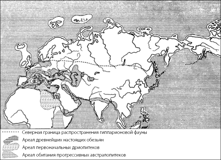 Иллюстрация к книге — Разные человечества. Эволюция. Разум. Антропология [_67.jpg]