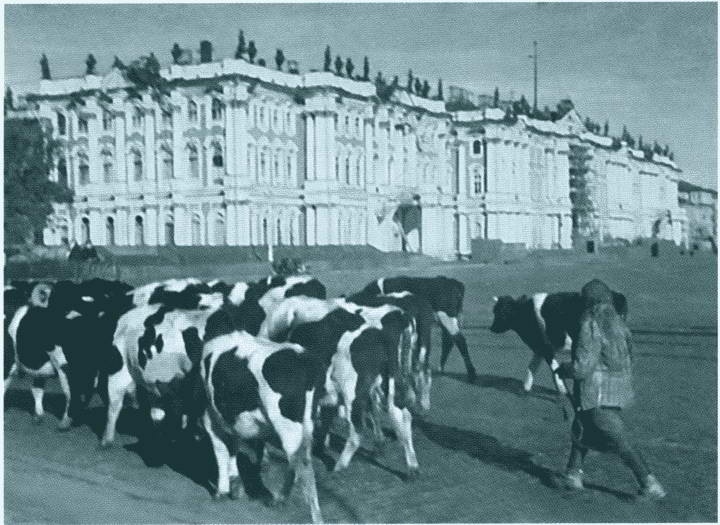 Иллюстрация к книге — Повседневная жизнь блокадного Ленинграда [i_014.jpg]