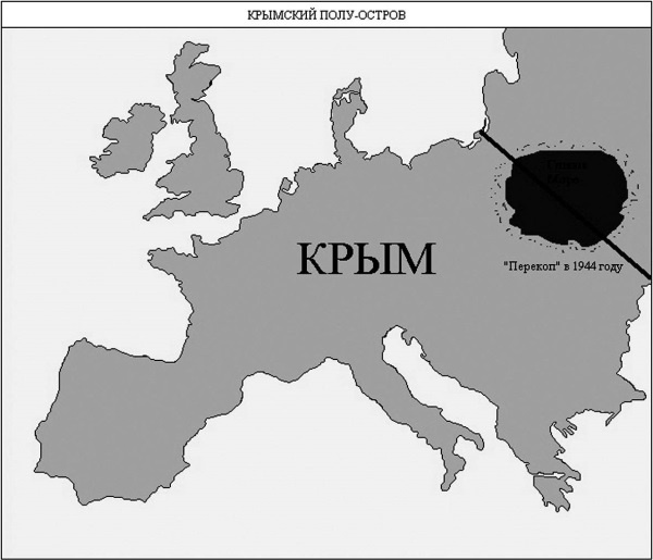 Иллюстрация к книге — История человечества, которую от вас скрывают. Фальсификация как метод [i_101.jpg]