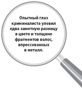 Иллюстрация к книге — Убийство под микроскопом: записки судмедэксперта [i_027.jpg]