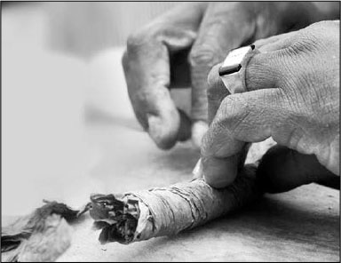 Иллюстрация к книге — Секс, водка, потанцуем? Природа удовольствий [i_064.jpg]