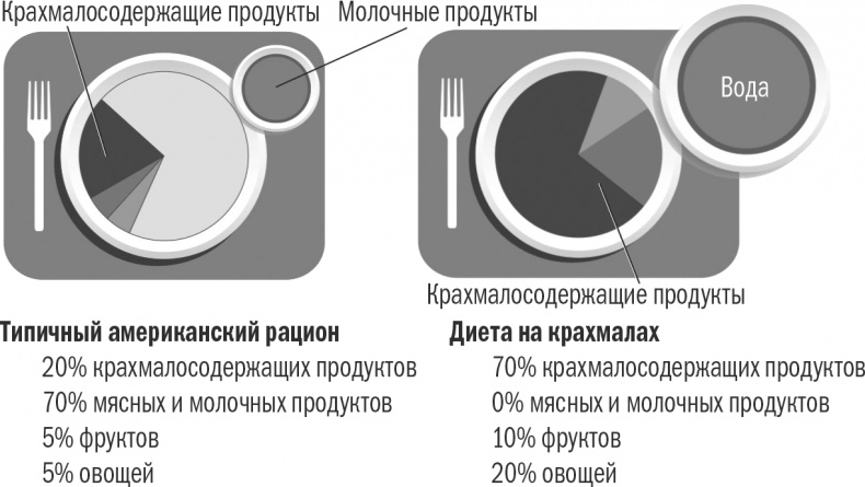Иллюстрация к книге — Энергия крахмала. Ешьте вкусно, заботьтесь о здоровье и худейте навсегда [i_001.jpg]