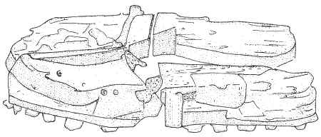 Иллюстрация к книге — Этруски. Быт, религия, культура [i_037.jpg]