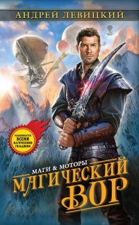 Книга Магический вор Книга Магический вор