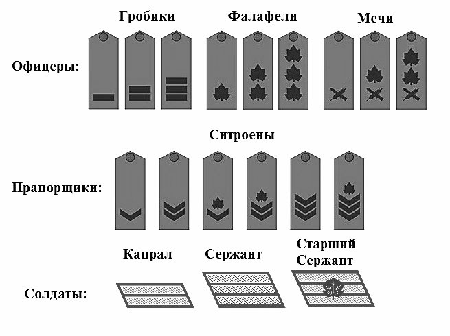 Иллюстрация к книге — Слезы радости. «Как я разлагал израильскую армию» [i_001.jpg]