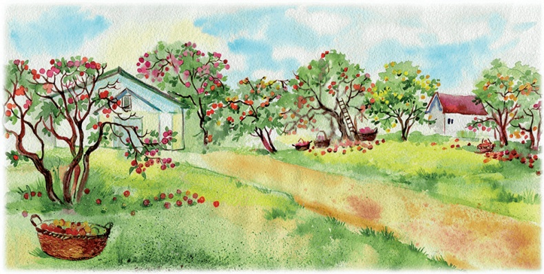 Иллюстрация к книге — Яблочная сказка [i_006.jpg]