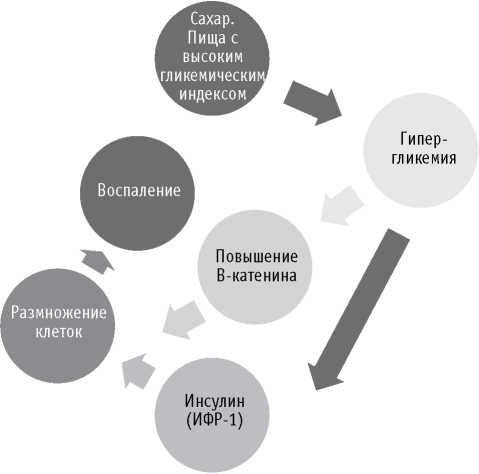 Иллюстрация к книге — Мои рецепты от рака. Опыт врача, победившего онкологию [i_009.jpg]