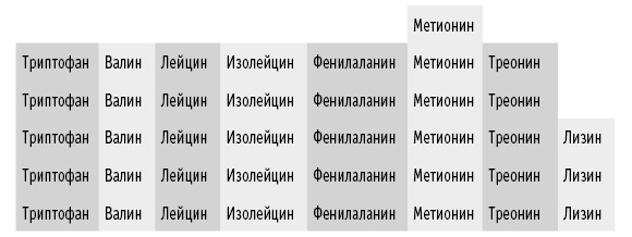 Иллюстрация к книге — Мои рецепты от рака. Опыт врача, победившего онкологию [i_031.jpg]