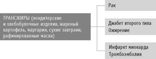 Иллюстрация к книге — Мои рецепты от рака. Опыт врача, победившего онкологию [i_049.jpg]