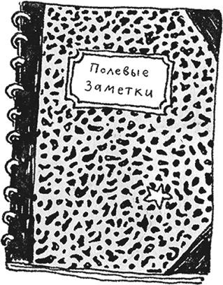 Иллюстрация к книге — Я не такая. Девчонка рассказывает, чему она &quot;научилась&quot; [i_003.jpg]