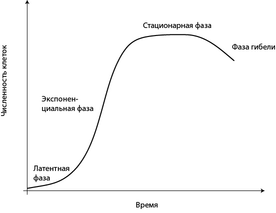 Иллюстрация к книге — Двигатели жизни. Как бактерии сделали наш мир обитаемым [i_033.jpg]