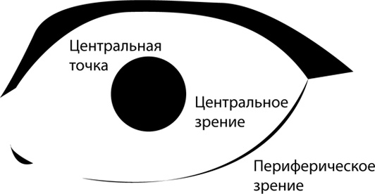 Иллюстрация к книге — Скорочтение на практике. Как читать быстро и хорошо запоминать прочитанное [i_011.jpg]