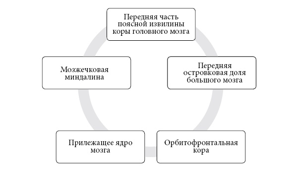 Иллюстрация к книге — Музыка мозга. Правила гармоничного развития [i_003.jpg]
