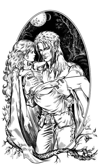 Иллюстрация к книге — Зачарованный город N [_343.jpg]