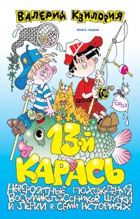 Книга 13-й карась Книга 13-й карась