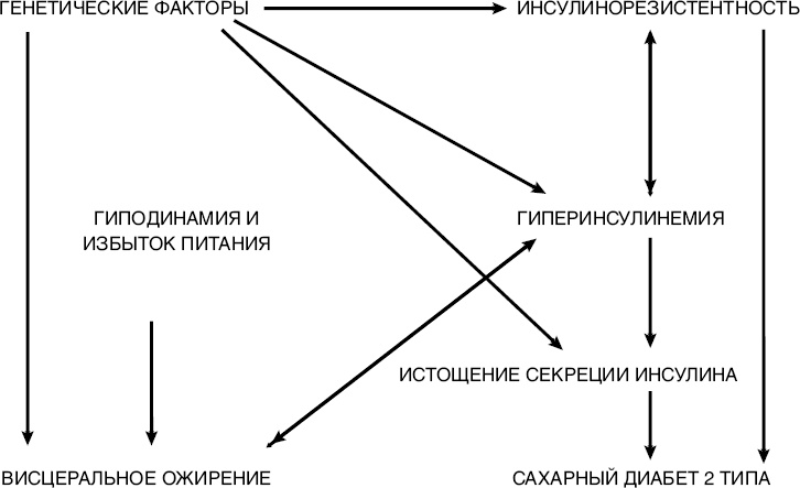 Иллюстрация к книге — Сахарный диабет [_4.jpg]