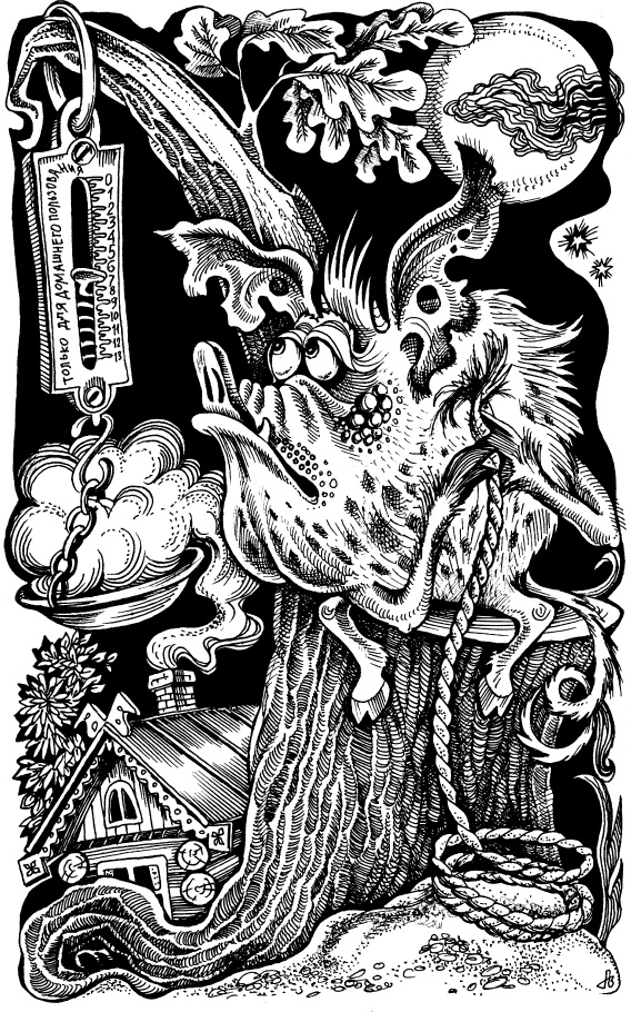 Иллюстрация к книге — Когда зацветет папоротник. Злая ведьма Варвара [_60.jpg]