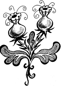 Иллюстрация к книге — Волшебная мельница. Злая ведьма Варвара [_102.jpg]