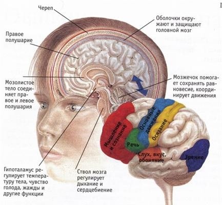 Иллюстрация к книге — Как построить дом здоровья, счастья и богатства. Универсальная методика «ВЕСТА» [Autogen_eBook_id4.jpg]