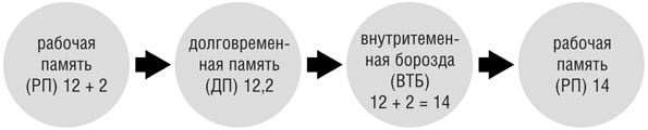 Иллюстрация к книге — Включите свою рабочую память на полную мощь [i_041.jpg]