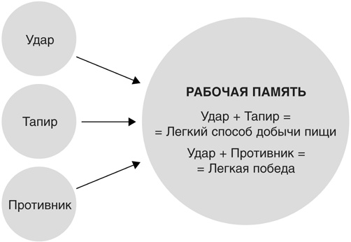 Иллюстрация к книге — Включите свою рабочую память на полную мощь [i_044.jpg]