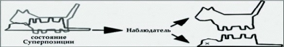 Иллюстрация к книге — Танец Древнего. Как Вселенная решает личные и мировые проблемы [_45.jpg]