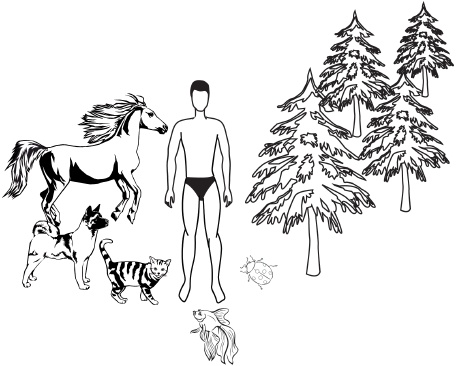 Иллюстрация к книге — Сила стихий в твоих руках. От человека до эгрегора [Autogen_eBook_id21.jpg]