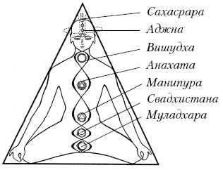 Иллюстрация к книге — Теория и практика йоги [Autogen_eBook_id1.jpg]